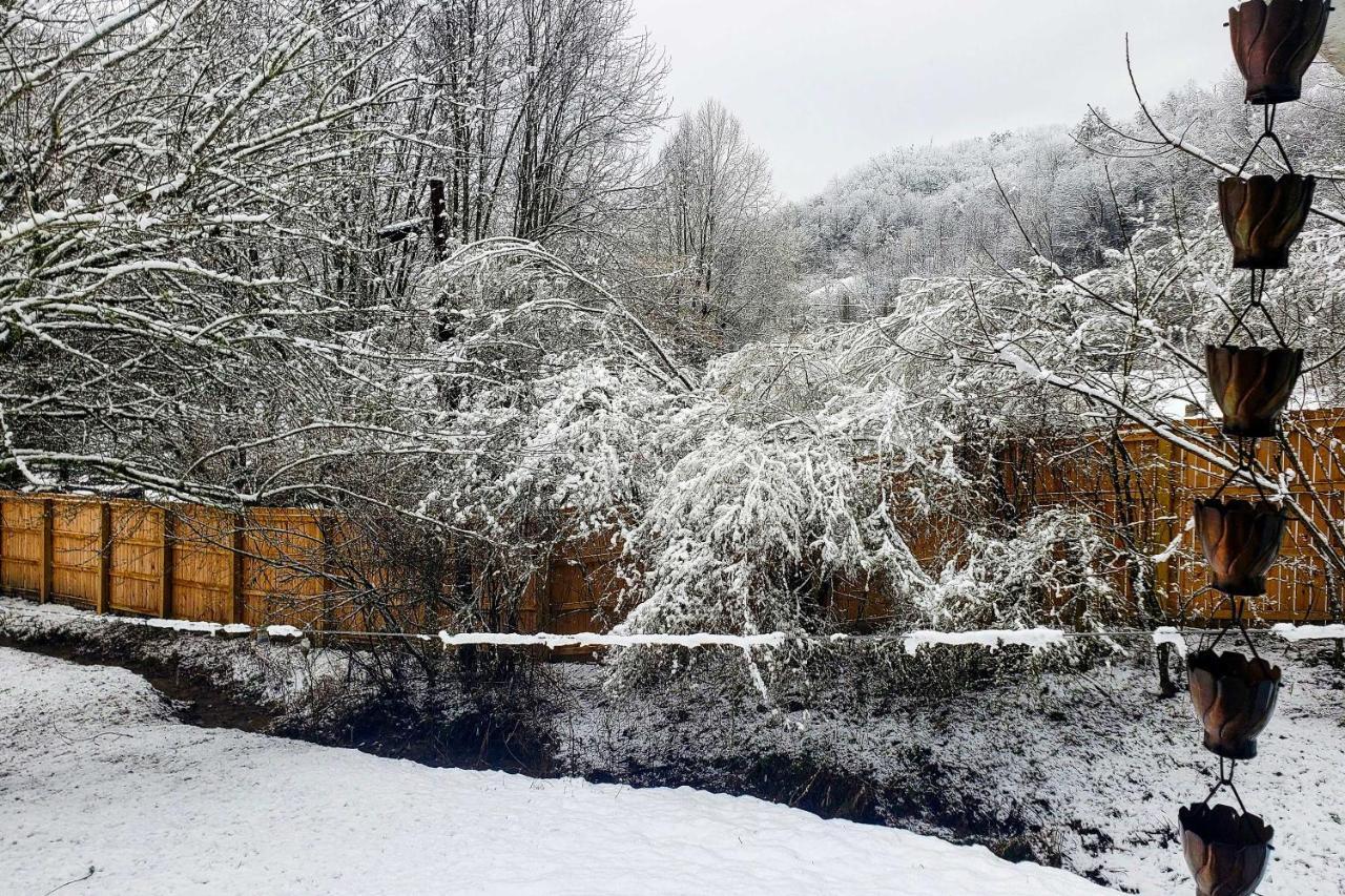 Smoky Mountain Vacation Rental With Hot Tub And Kayaks Whittier Zewnętrze zdjęcie